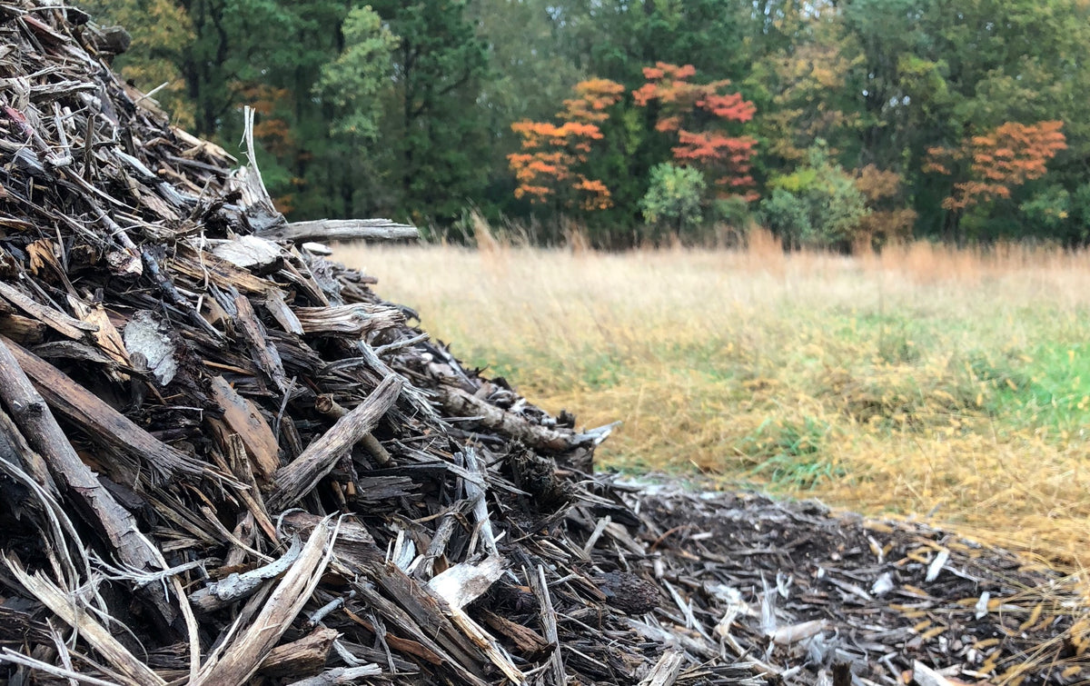 Officia aperiam dicta ad Pine Environmental