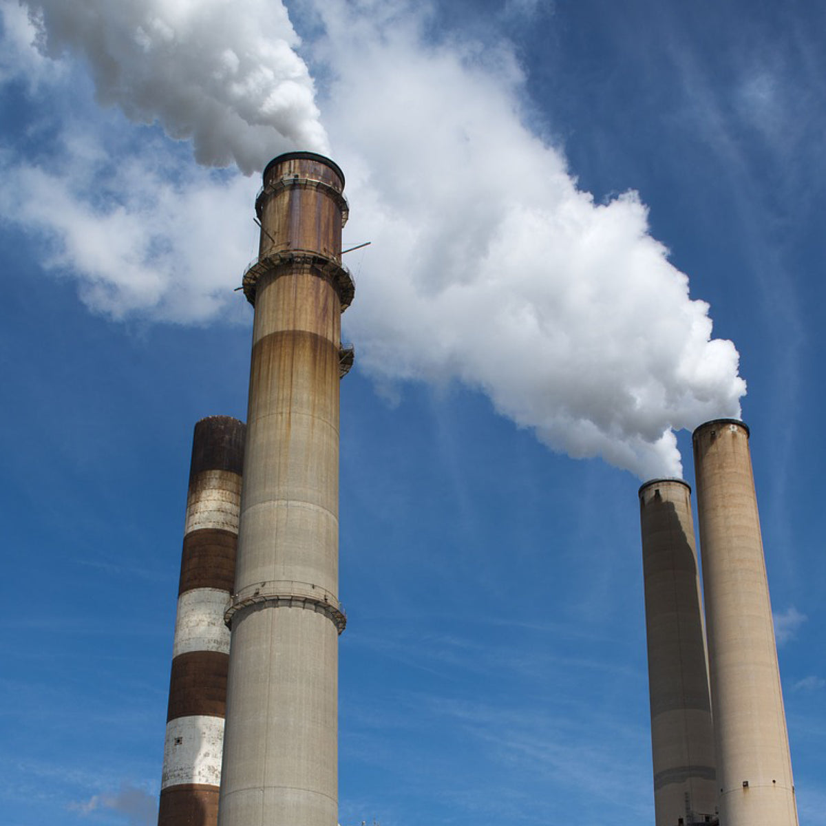 Sample Train Accessories Pine Environmental